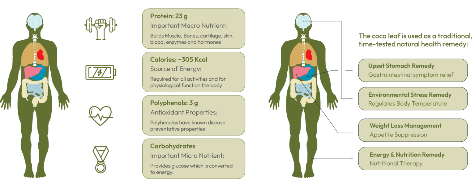 COCA POWER LEAVES CORP.